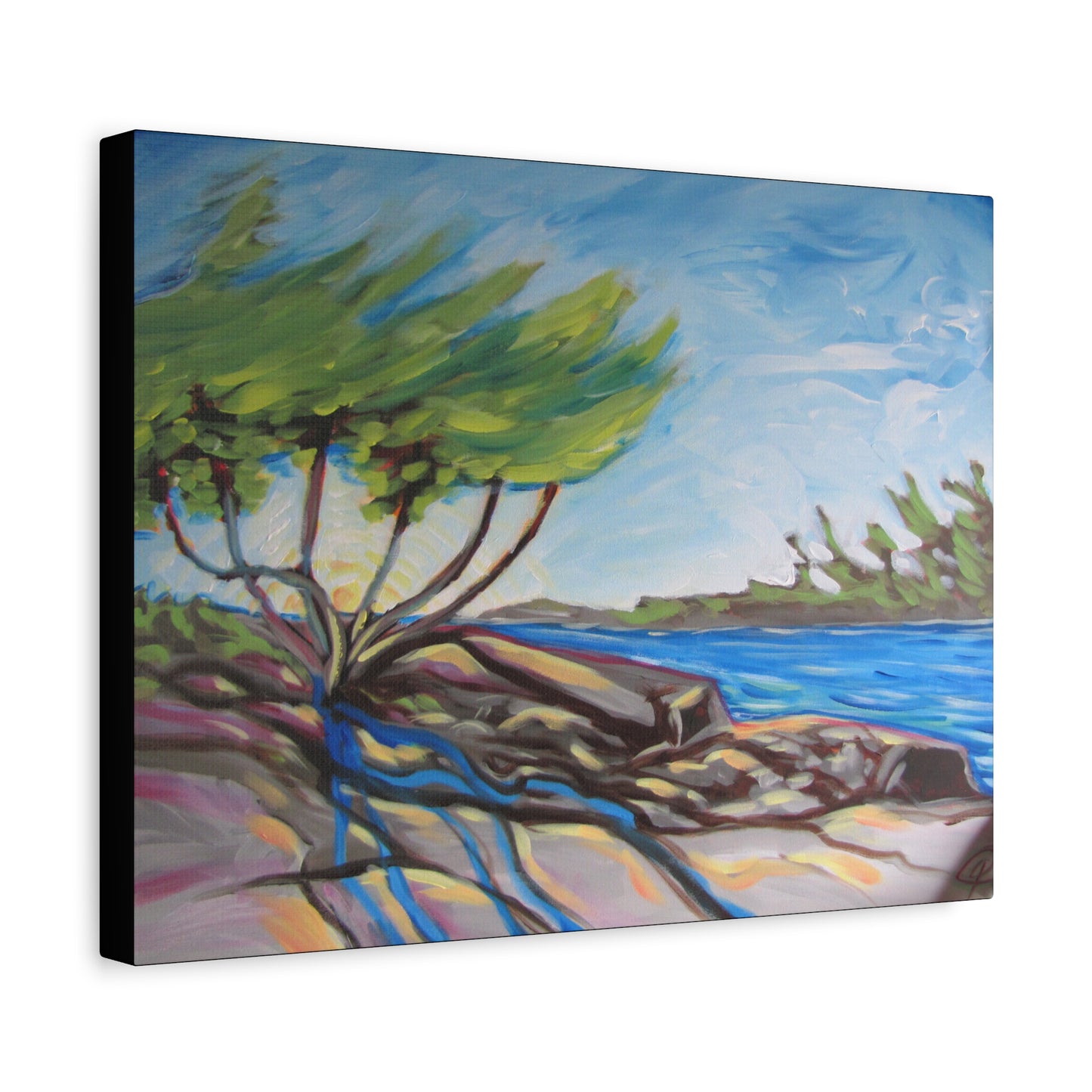 Windswept Shore by Peter Scott Elliott - Print