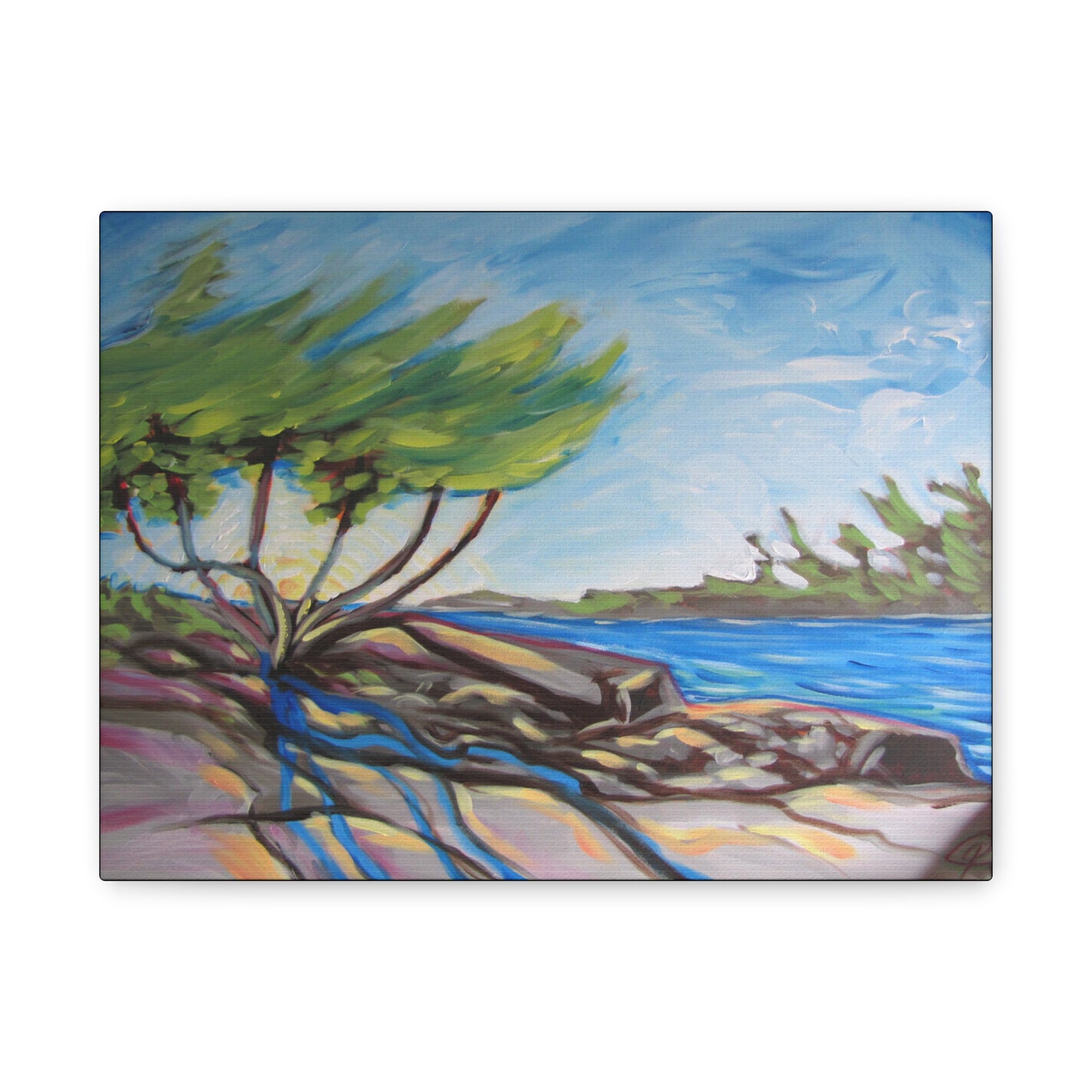 Windswept Shore by Peter Scott Elliott - Print
