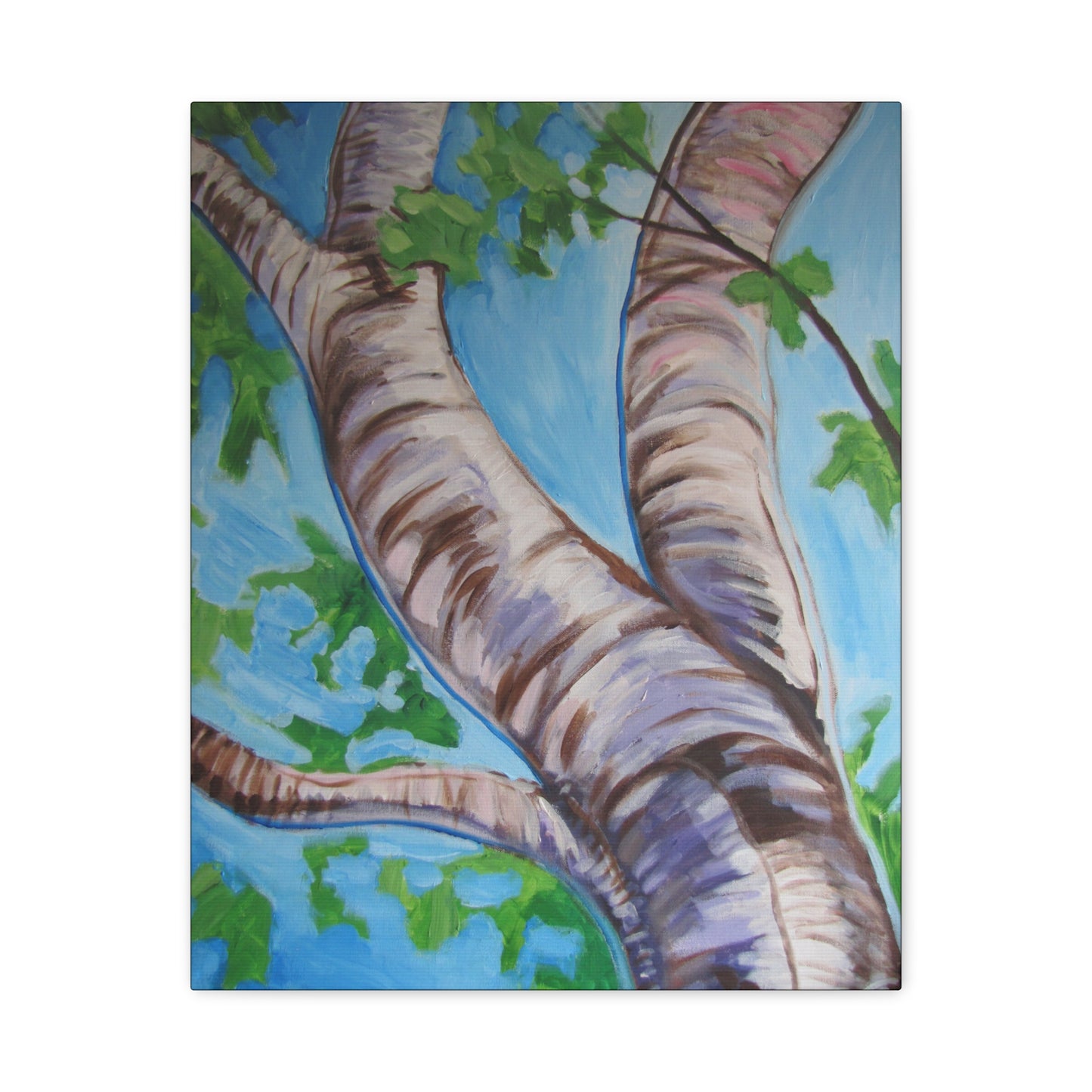 Birch Tree #3 by Peter Scott Elliott - Print