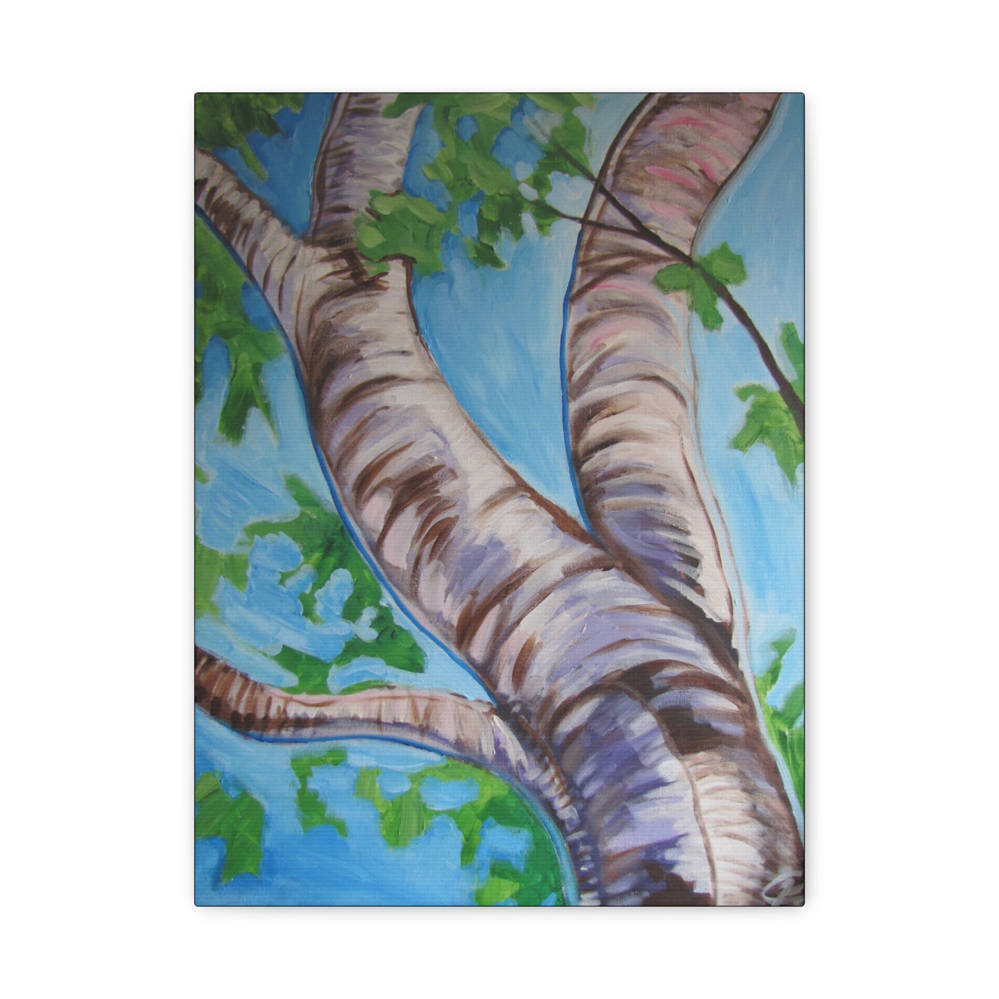 Birch Tree #3 by Peter Scott Elliott - Print