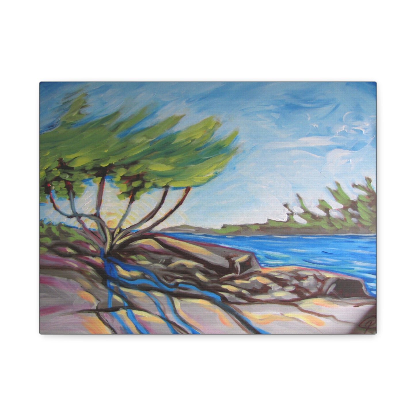 Windswept Shore by Peter Scott Elliott - Print