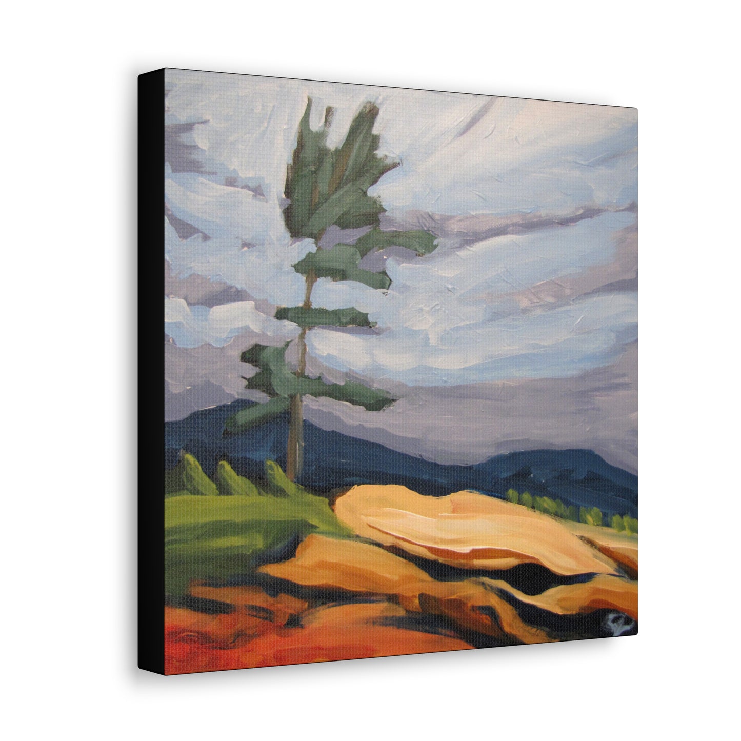 Canadian Shield #9 Canvas Print by Peter Scott Elliott