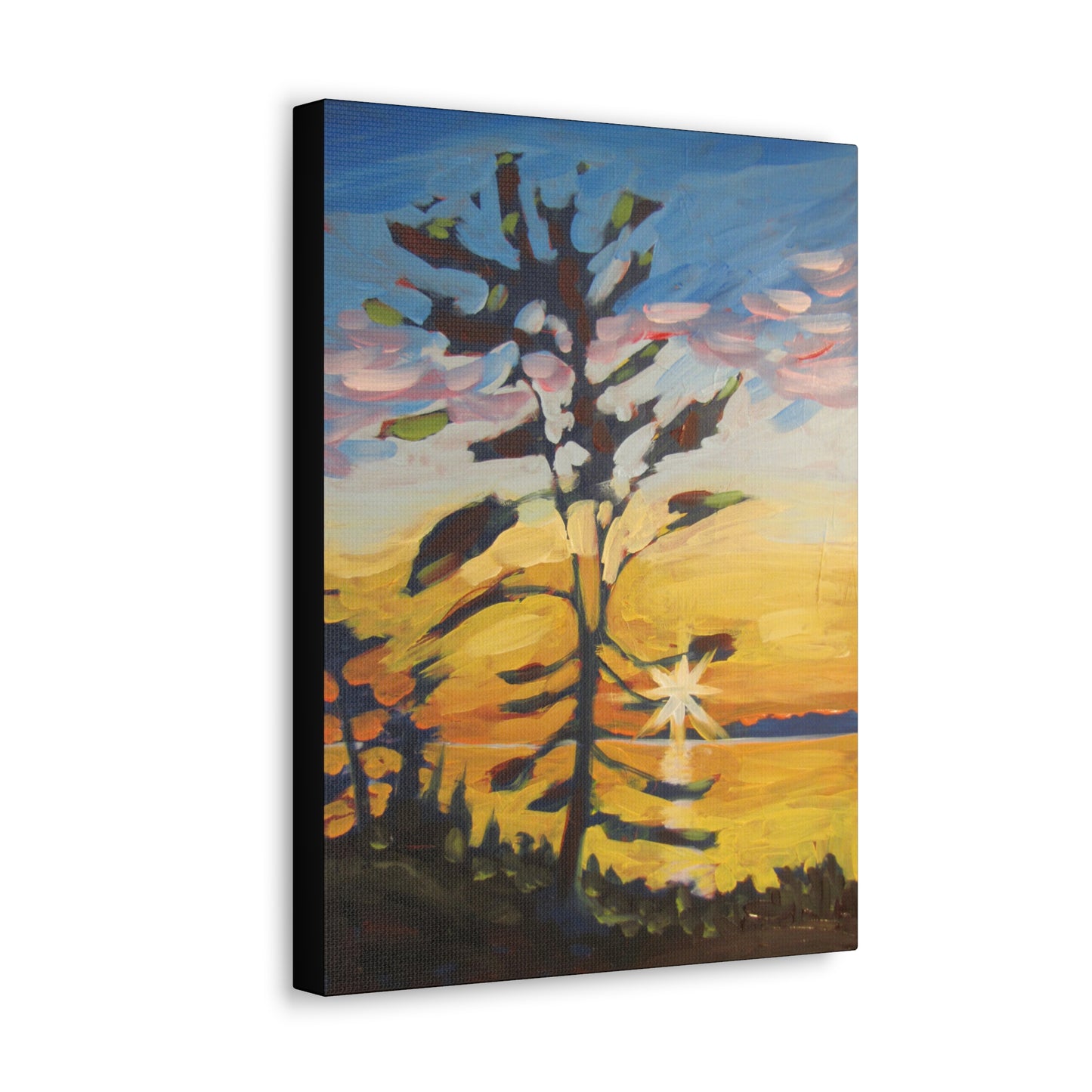 Georgian Sunset Canvas Print by Peter Scott Elliott
