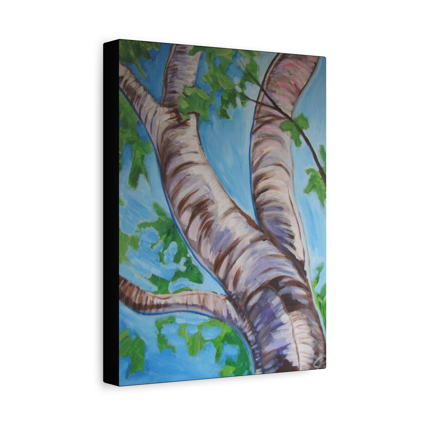 Birch Tree #3 by Peter Scott Elliott - Print