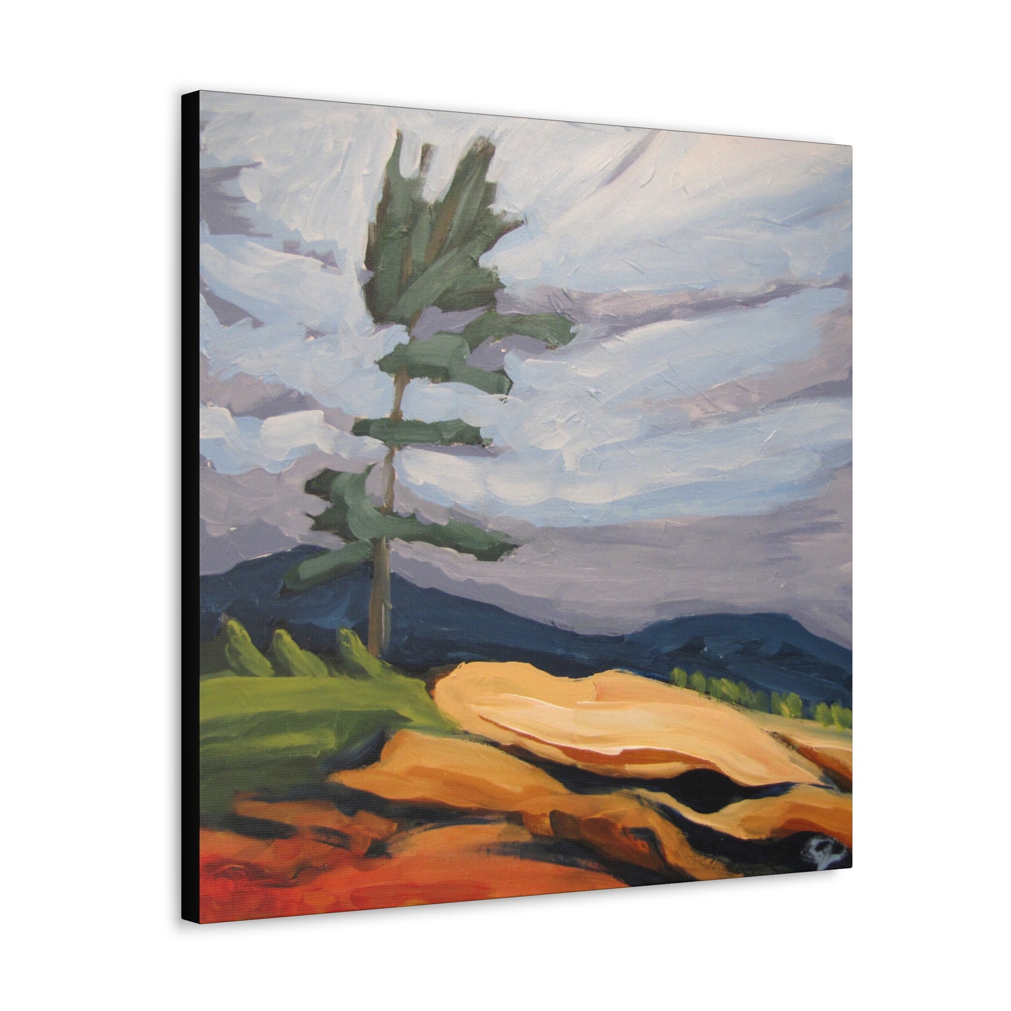 Canadian Shield #9 Canvas Print by Peter Scott Elliott
