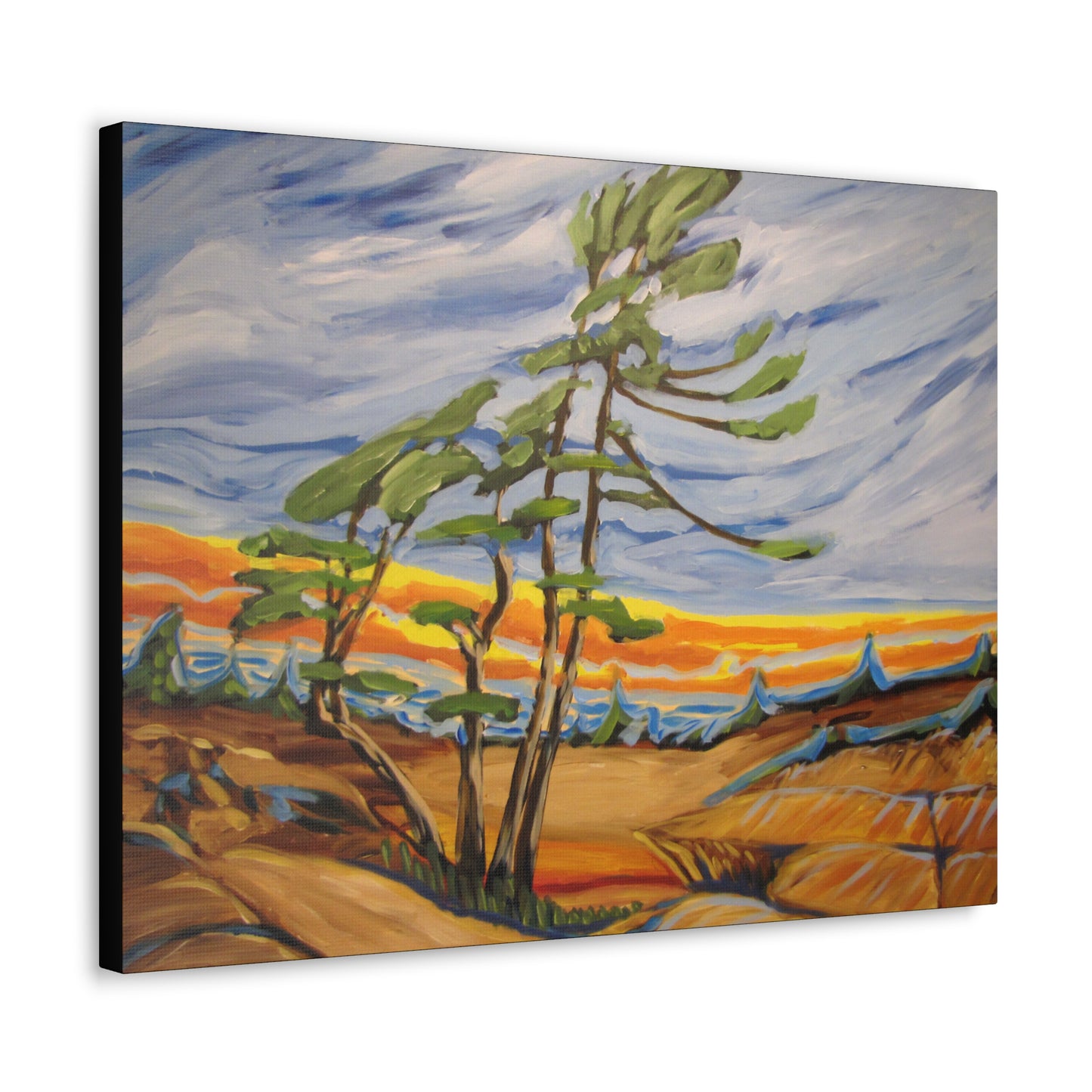 Georgian Bay #3 Canvas Print by Peter Scott Elliott