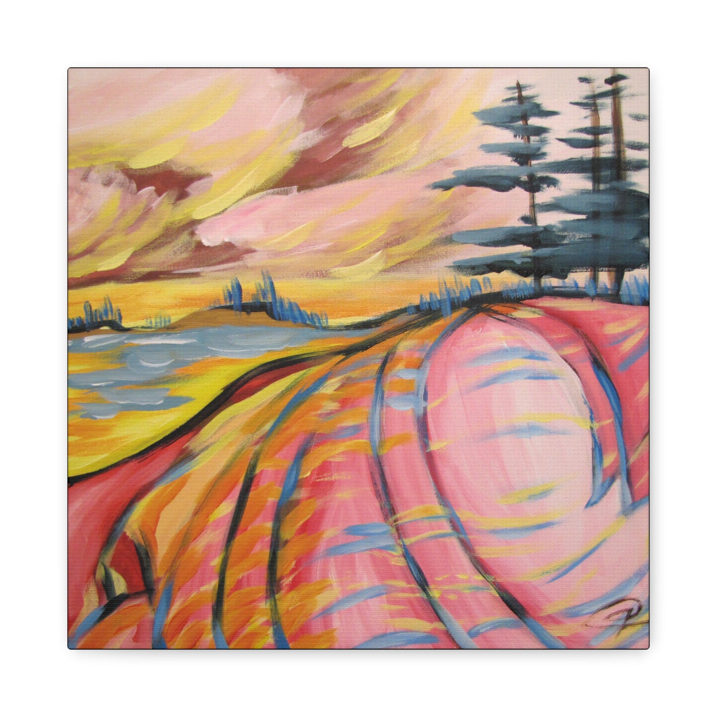 Canadian Shield #10 by Peter Scott Elliott - Print