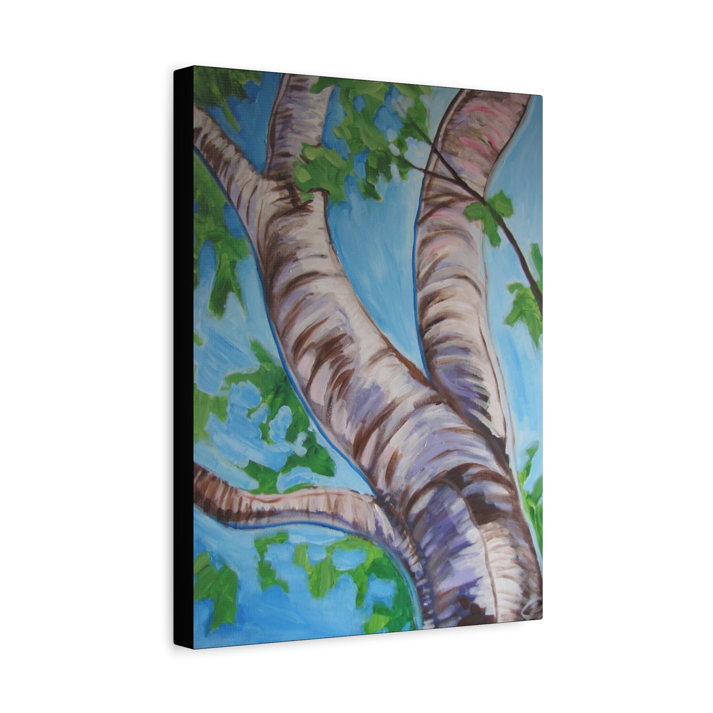 Birch Tree #3 by Peter Scott Elliott - Print