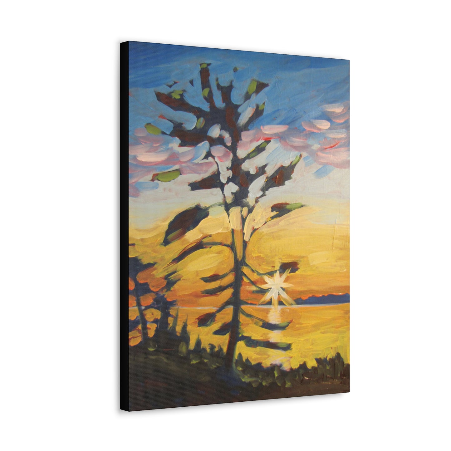 Georgian Sunset Canvas Print by Peter Scott Elliott