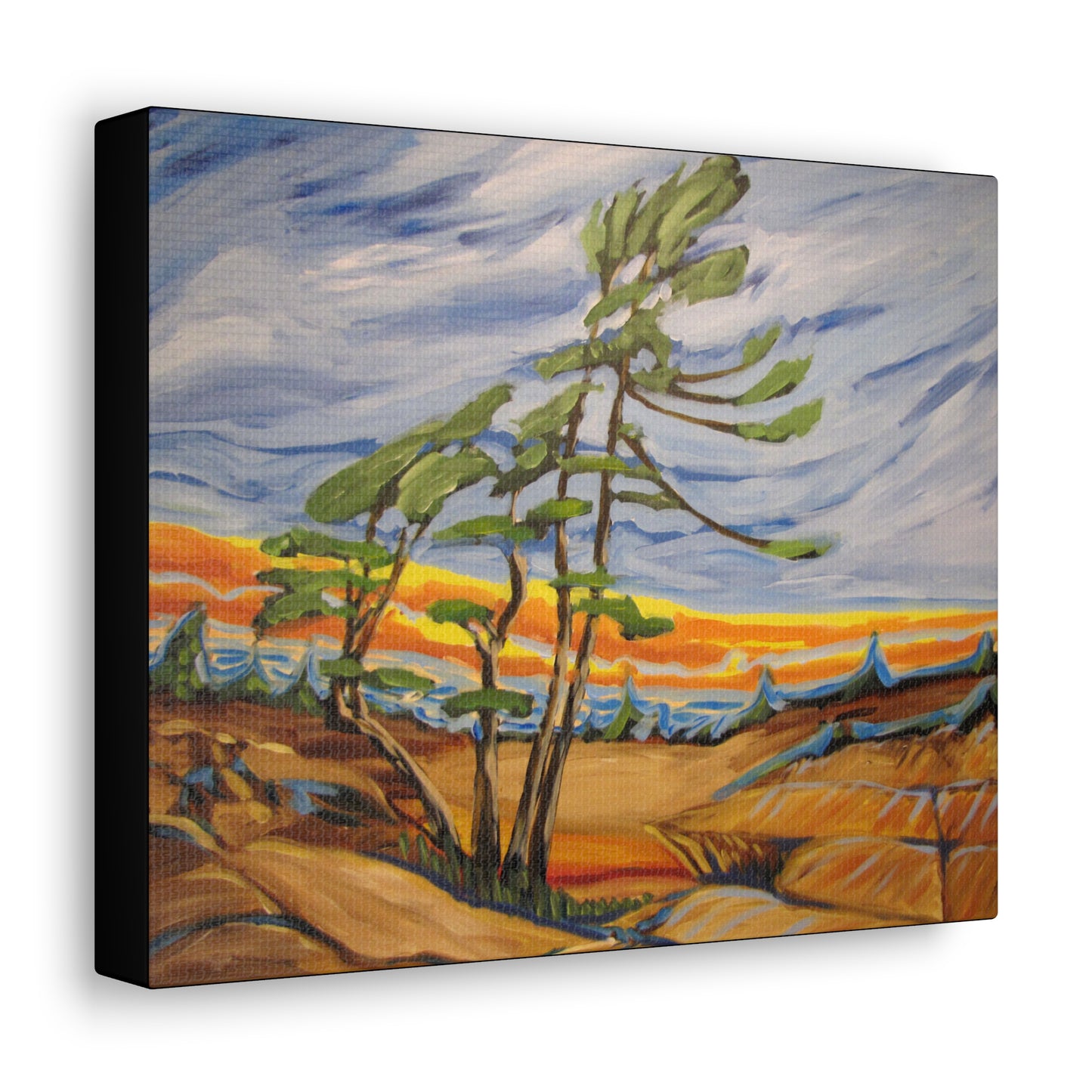 Georgian Bay #3 Canvas Print by Peter Scott Elliott