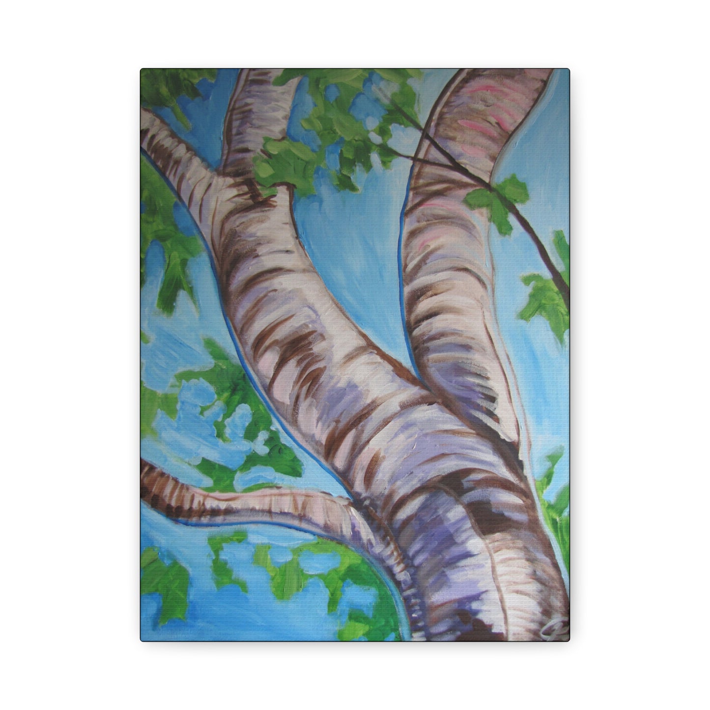 Birch Tree #3 by Peter Scott Elliott - Print