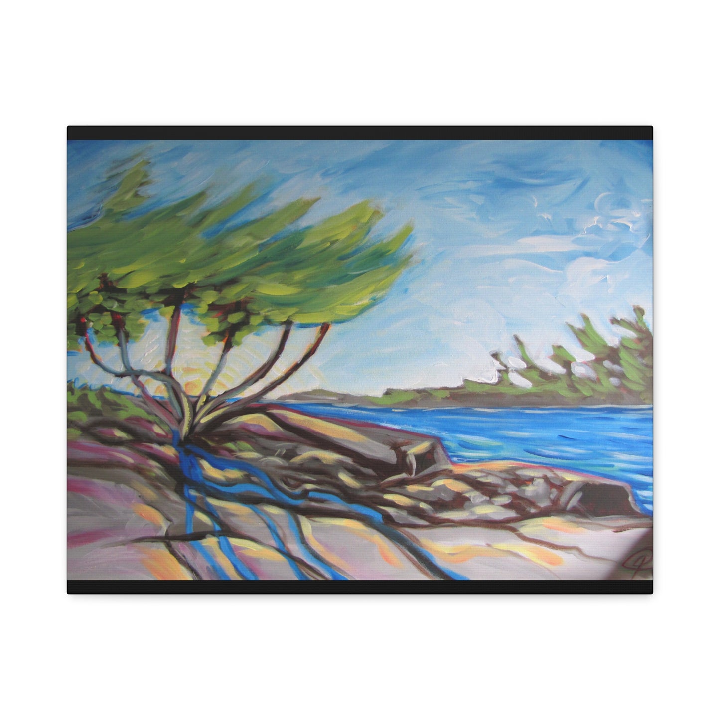 Windswept Shore by Peter Scott Elliott - Print