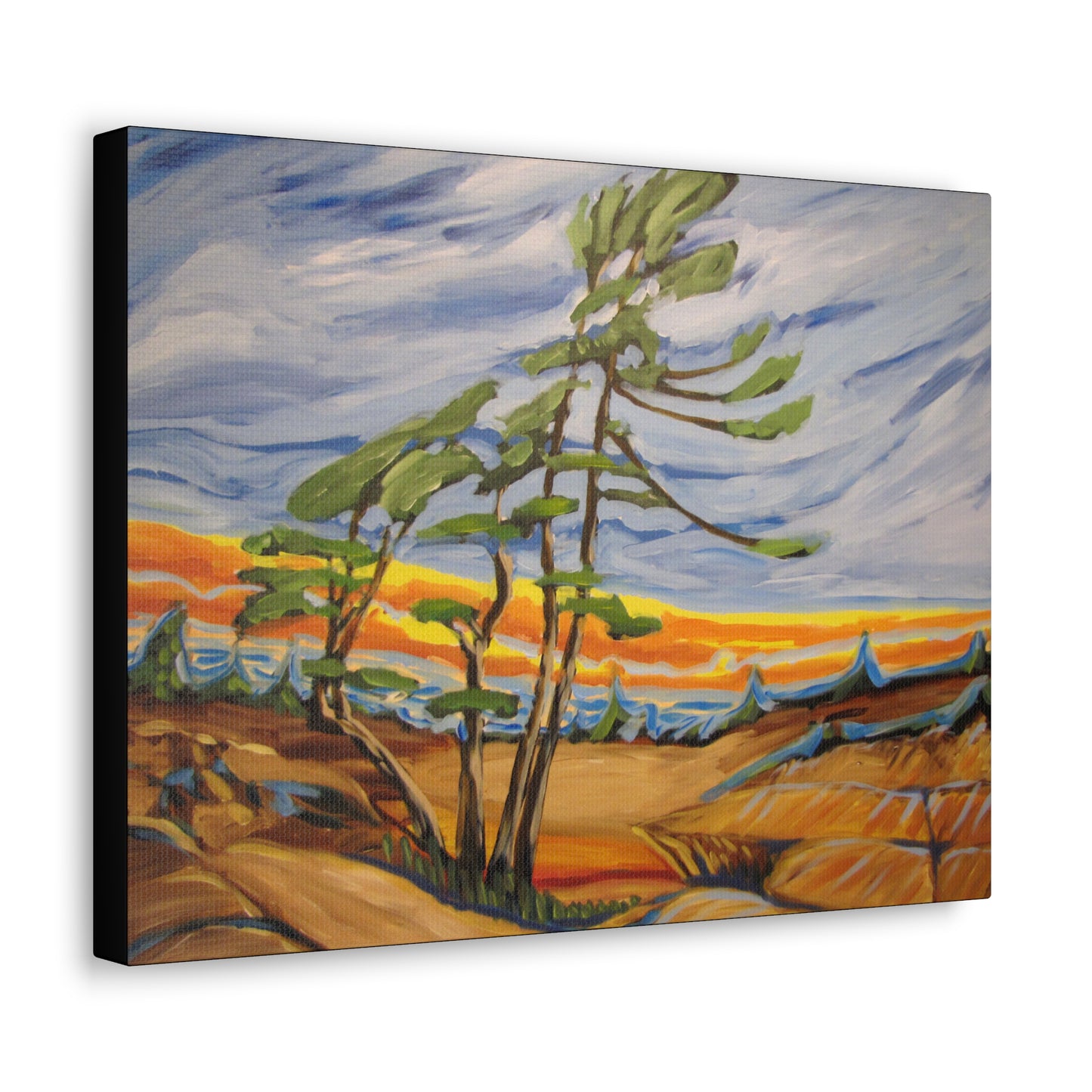 Georgian Bay #3 Canvas Print by Peter Scott Elliott
