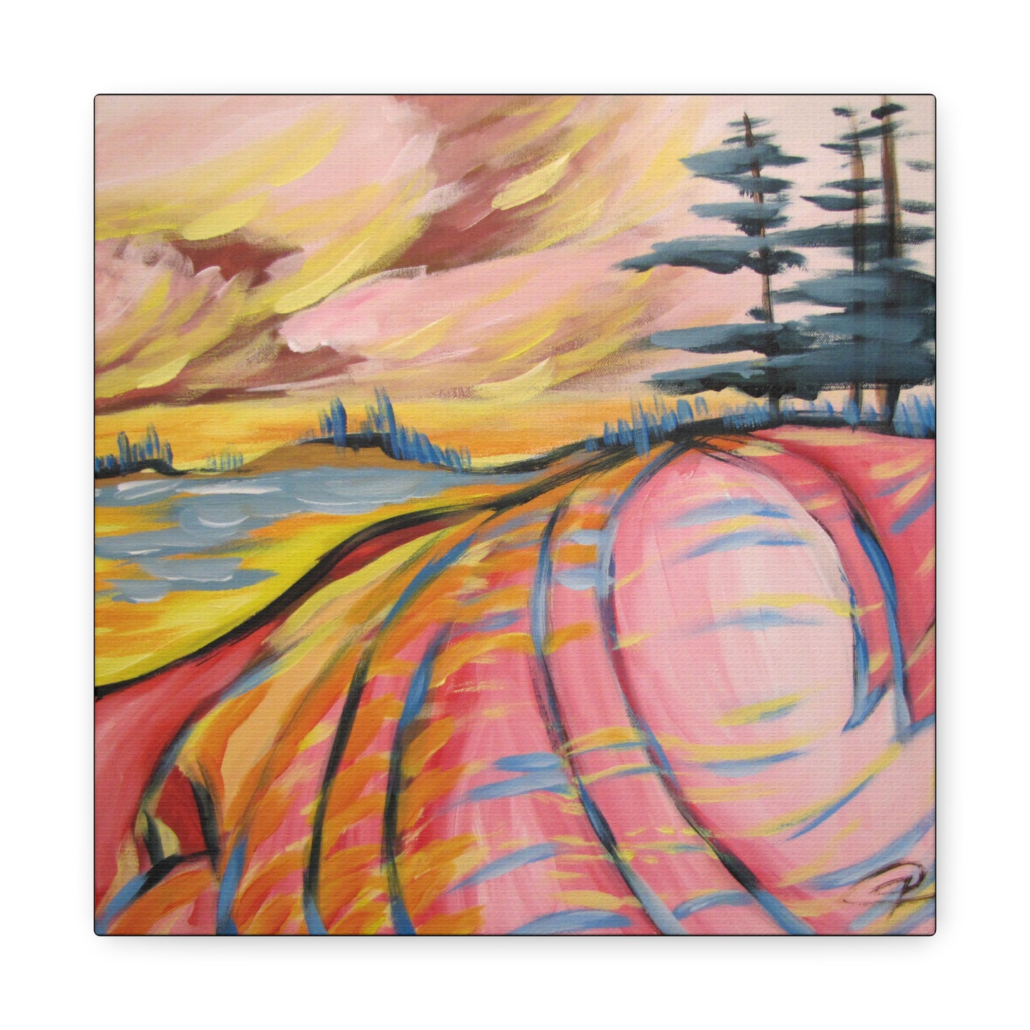 Canadian Shield #10 by Peter Scott Elliott - Print