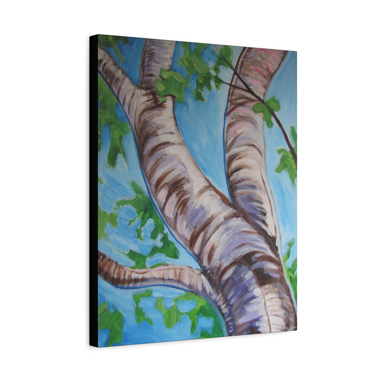Birch Tree #3 by Peter Scott Elliott - Print