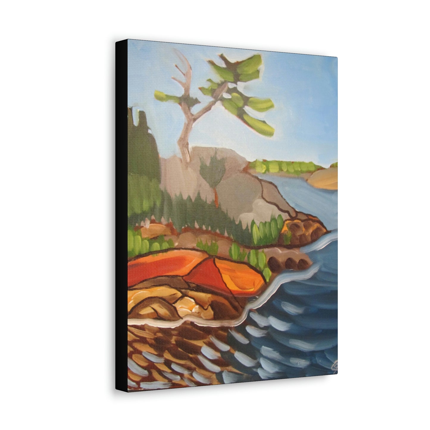 Canadian Shield #7 Canvas Print by Peter Scott Elliott