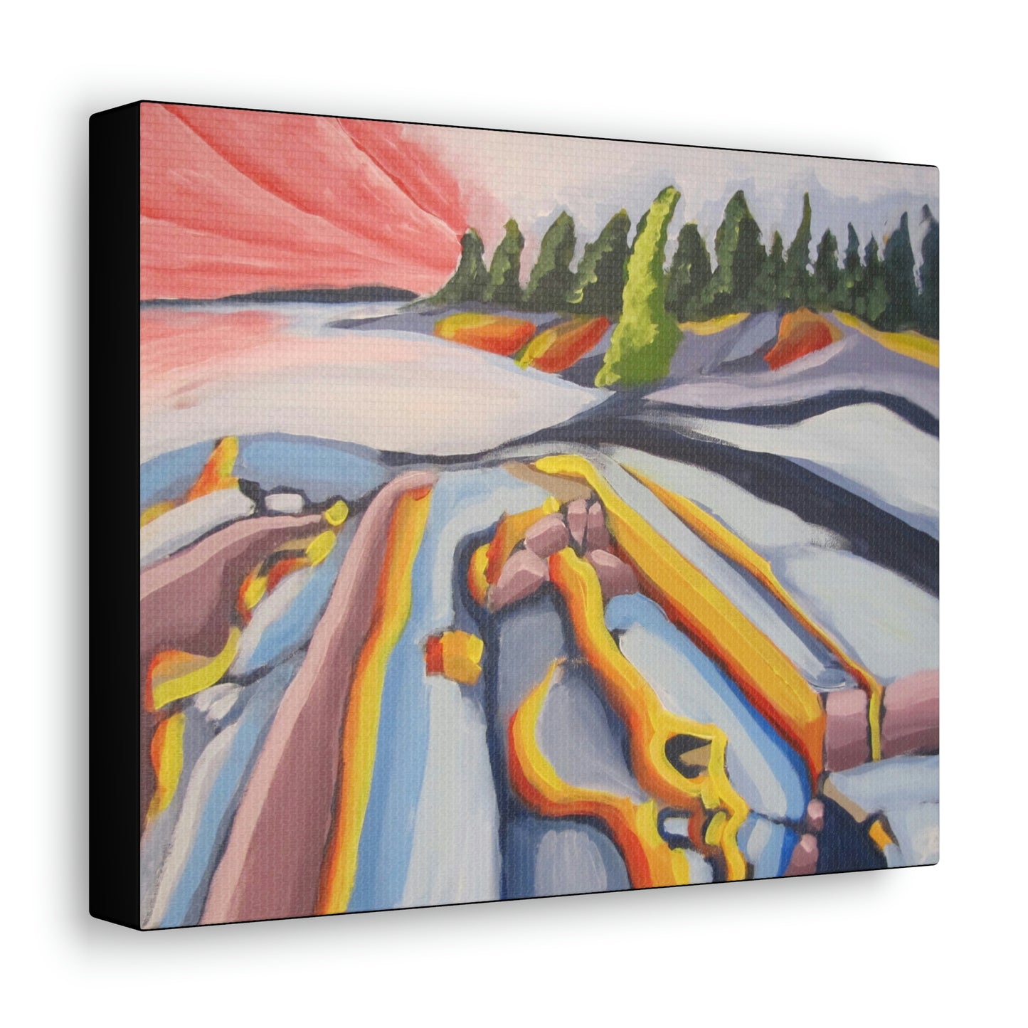 Canadian Shield #2 Canvas Print by Peter Scott Elliott