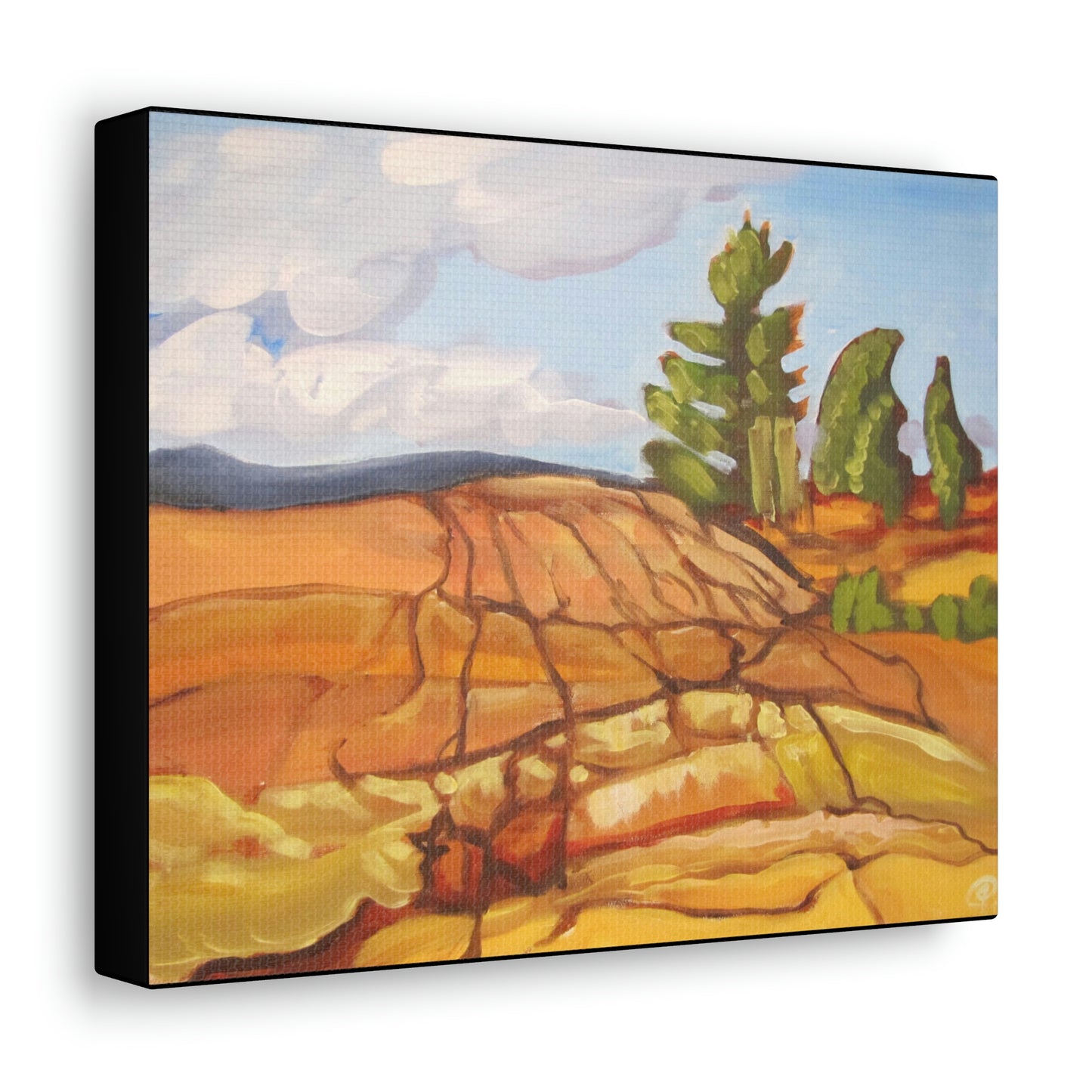 Canadian Shield #8 Canvas Print by Peter Scott Elliott