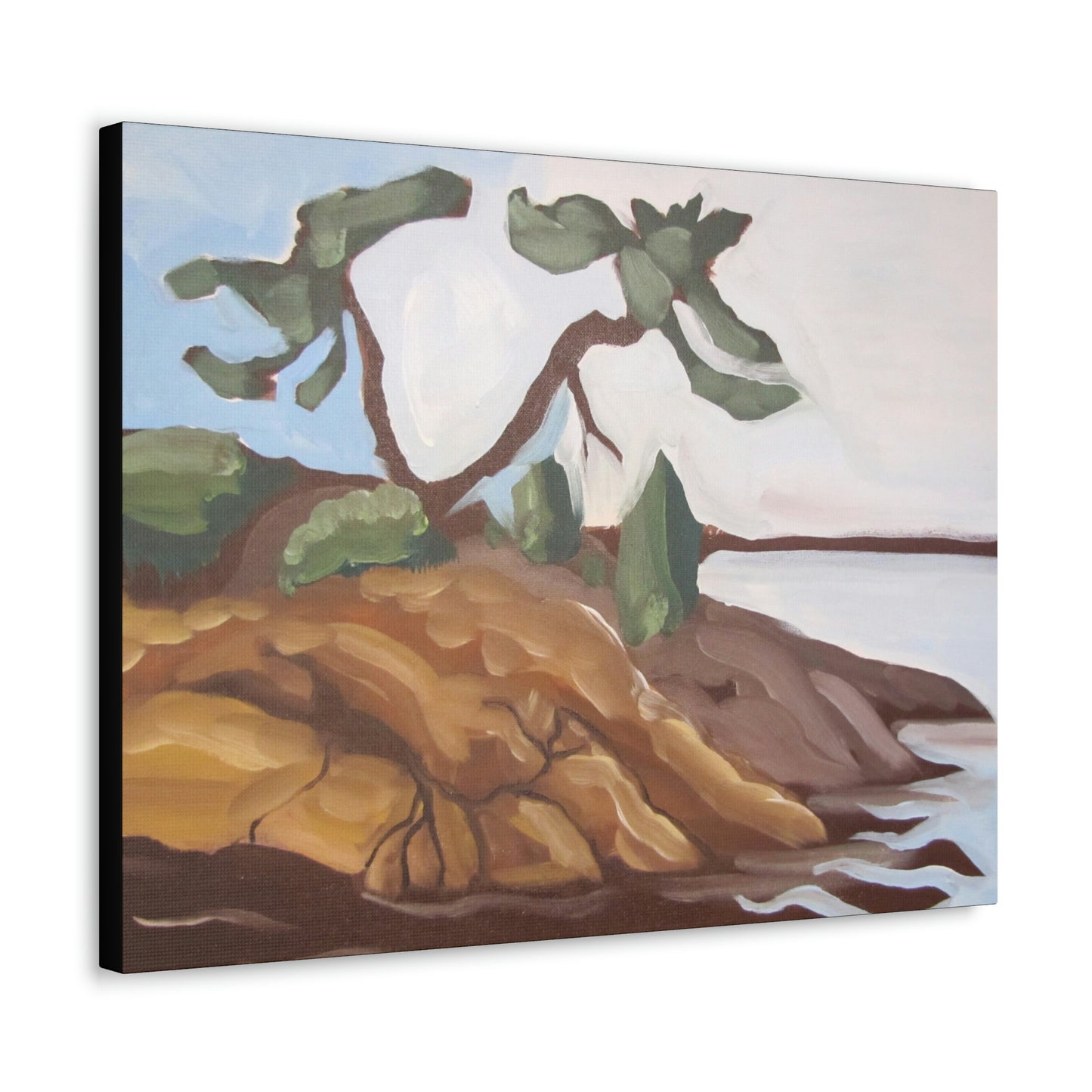 Canadian Shield #5 Canvas Print by Peter Scott Elliott