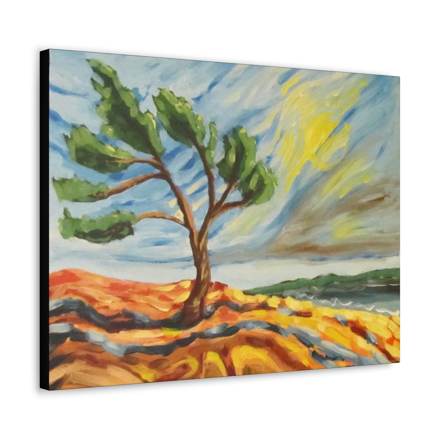 The Killbear Tree #2 Canvas Print by Peter Scott Elliott