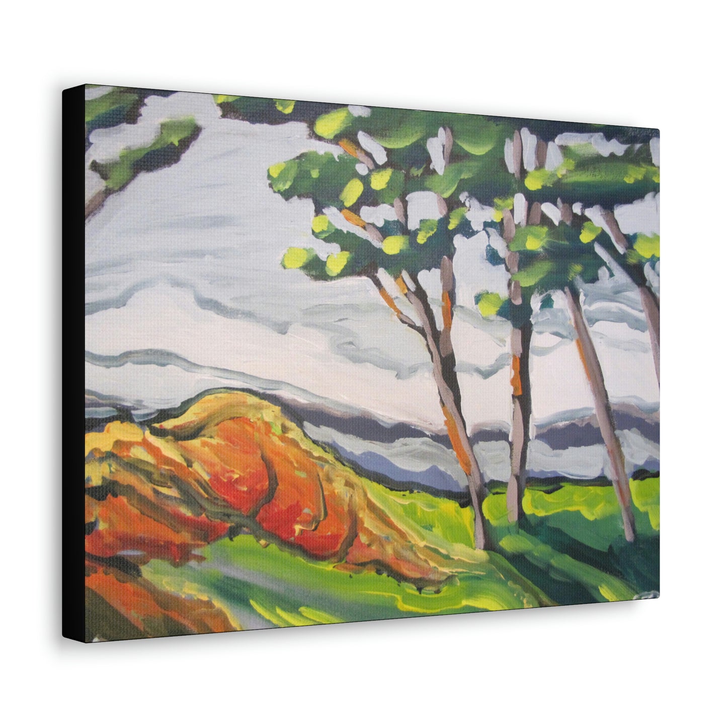 Rolling Rock Canvas Print by Peter Scott Elliott