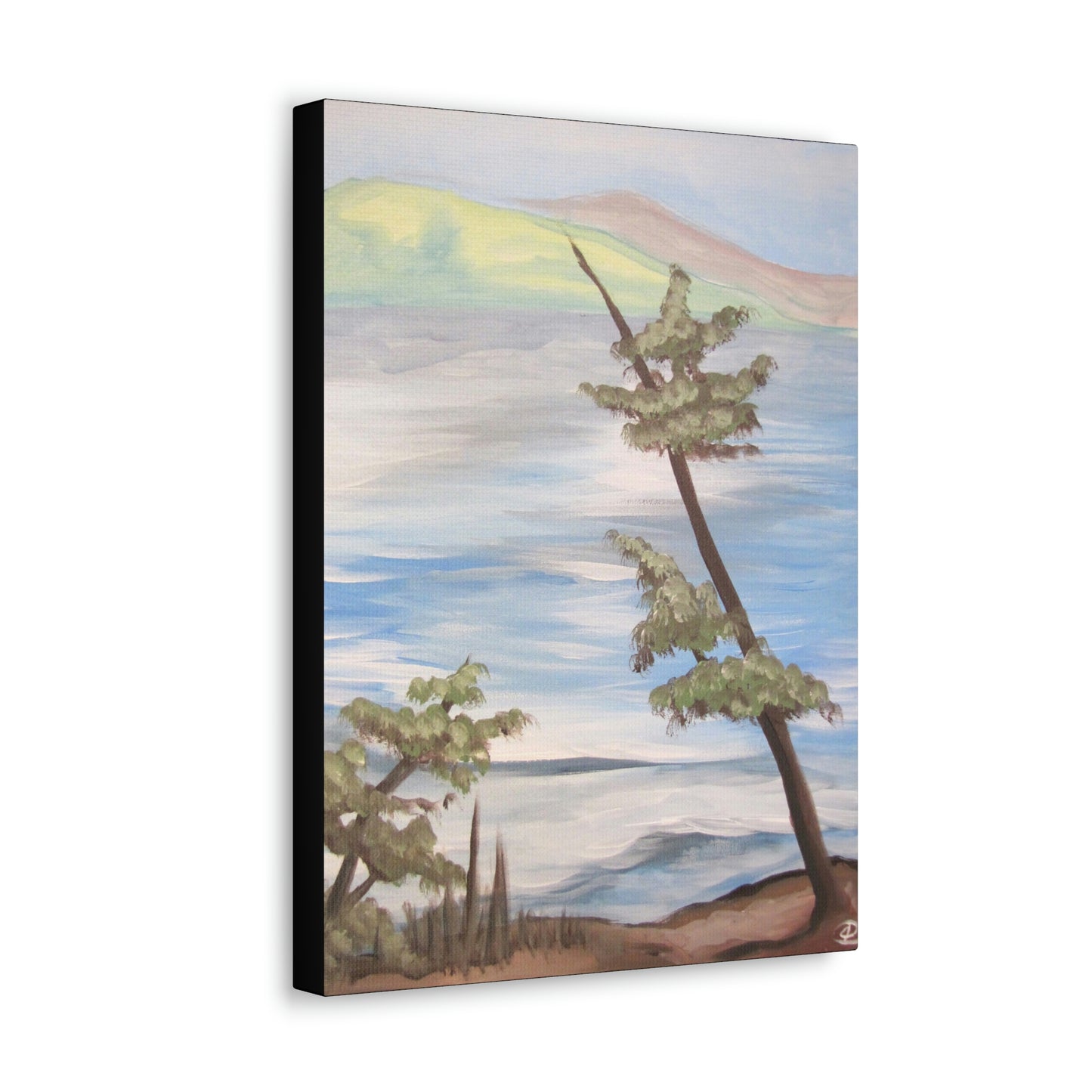 Lake Huron Canvas Print by Peter Scott Elliott