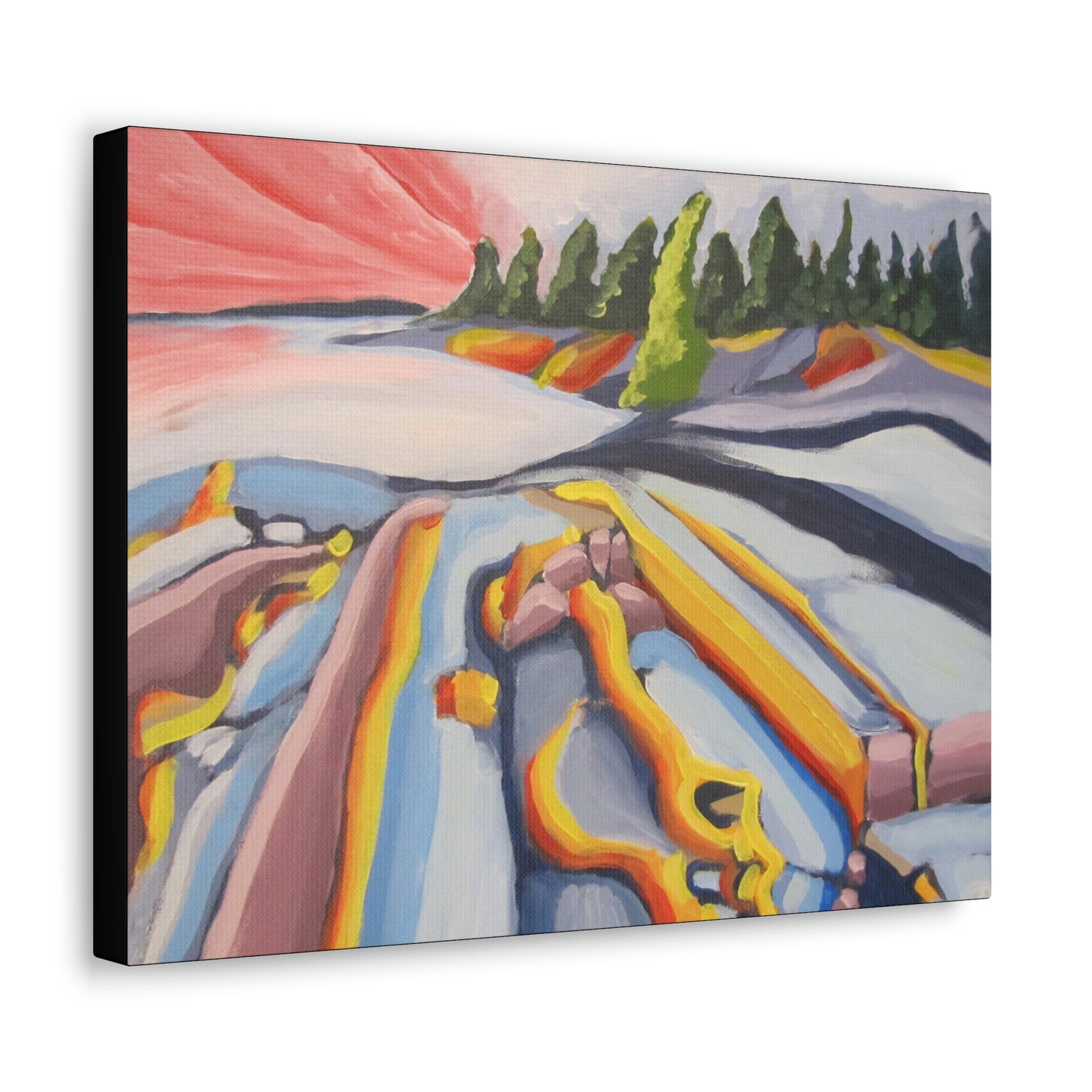 Canadian Shield #2 Canvas Print by Peter Scott Elliott