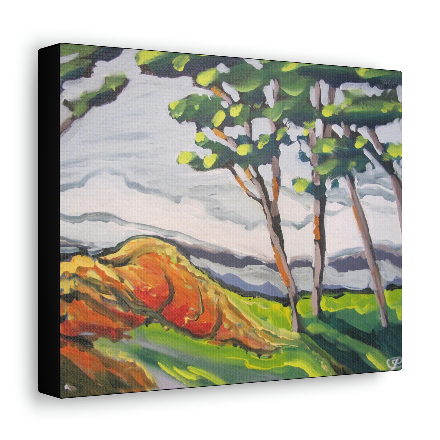 Rolling Rock Canvas Print by Peter Scott Elliott