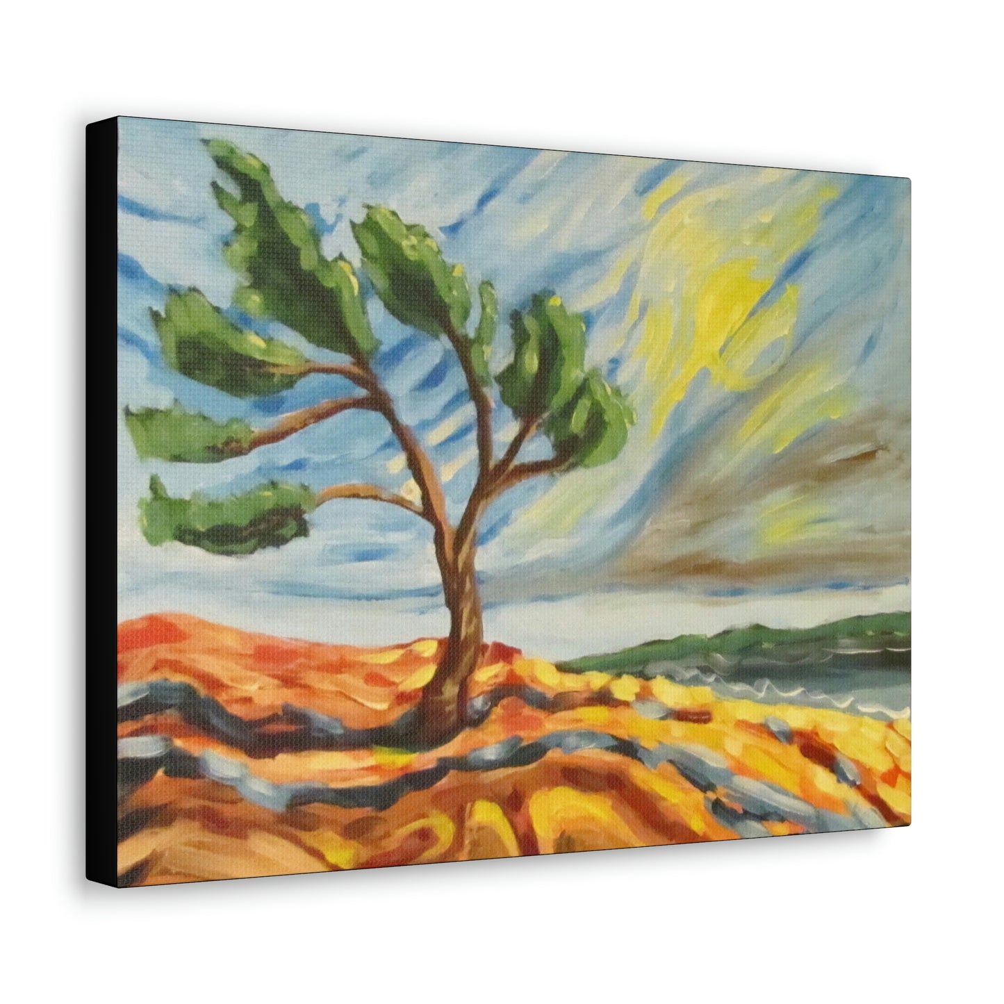 The Killbear Tree #2 Canvas Print by Peter Scott Elliott
