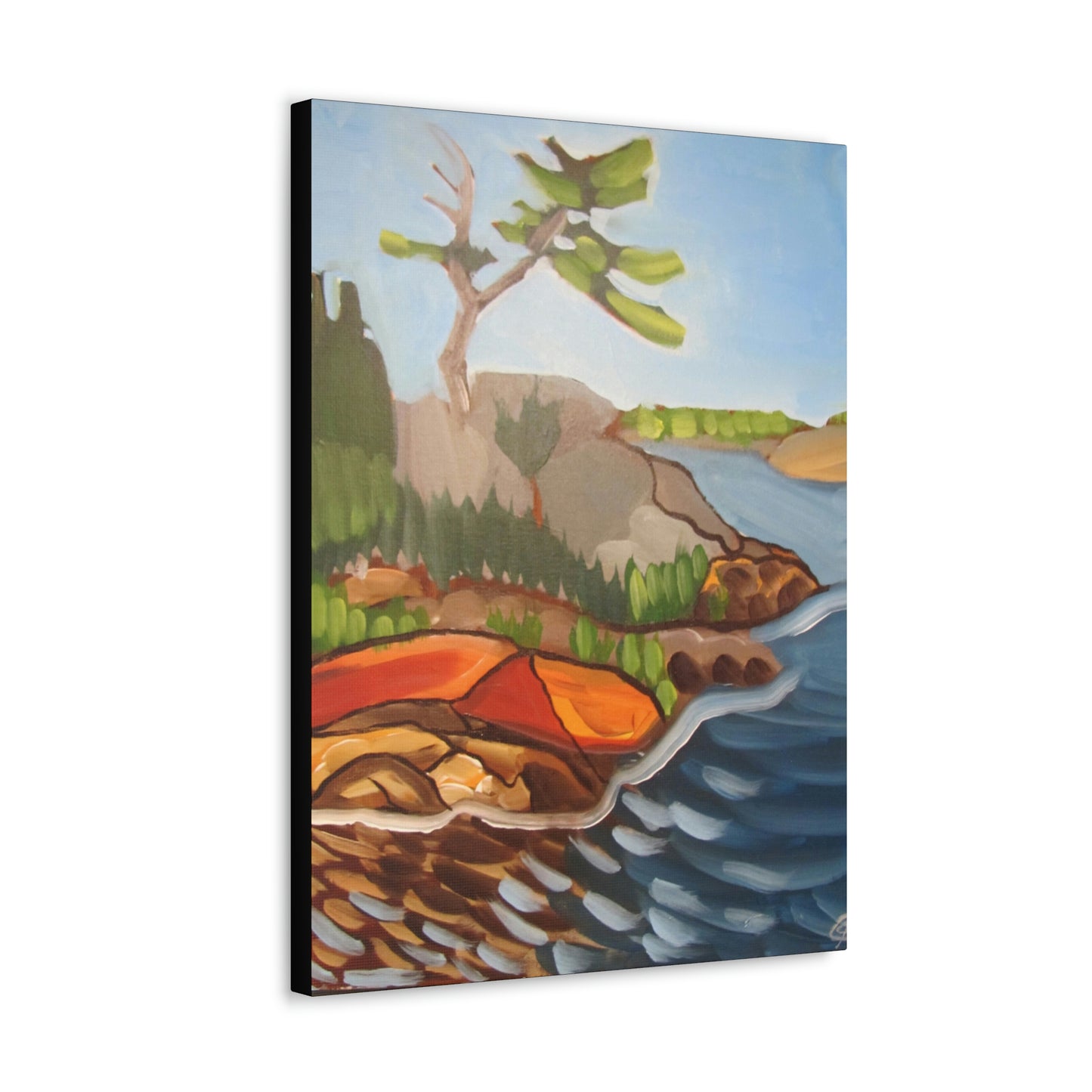 Canadian Shield #7 Canvas Print by Peter Scott Elliott