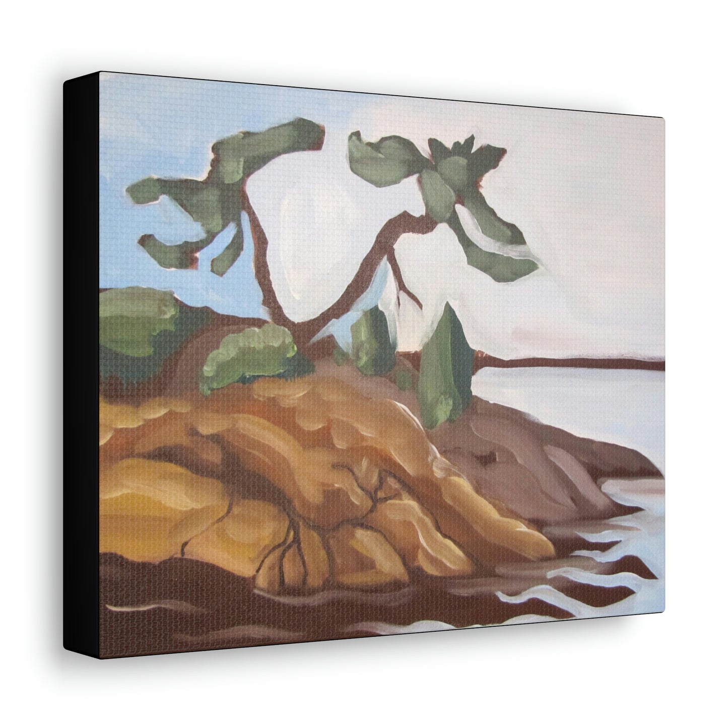 Canadian Shield #5 Canvas Print by Peter Scott Elliott