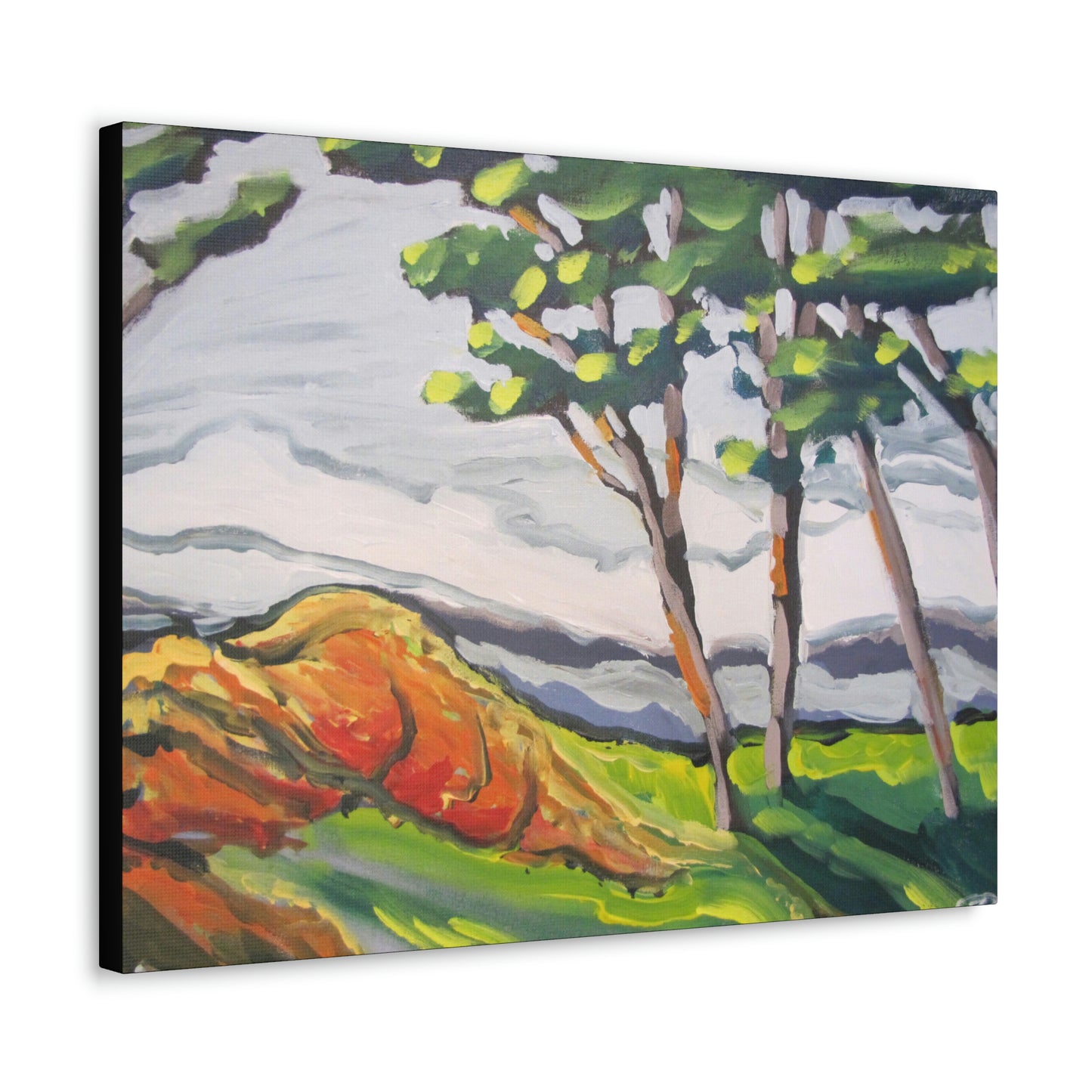 Rolling Rock Canvas Print by Peter Scott Elliott