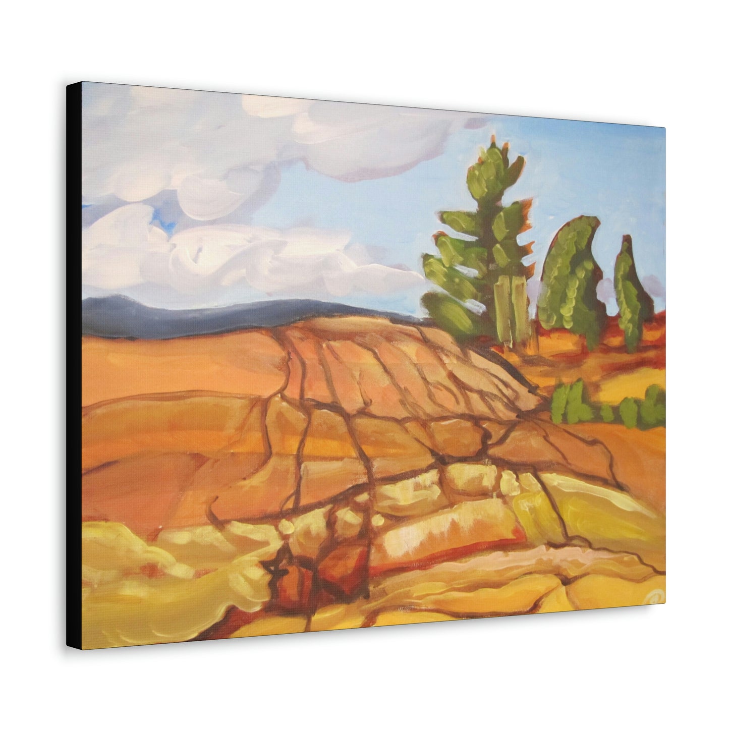 Canadian Shield #8 Canvas Print by Peter Scott Elliott