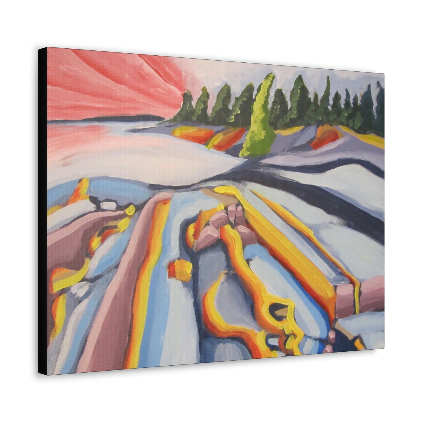 Canadian Shield #2 Canvas Print by Peter Scott Elliott
