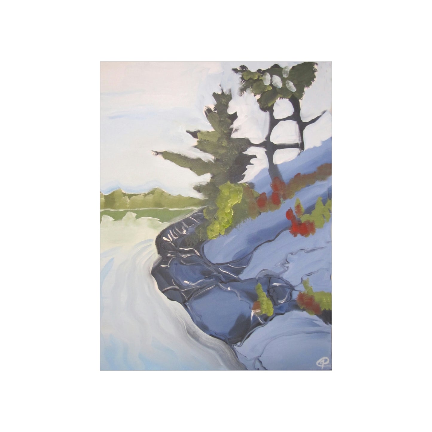 Canadian Shield #4 Poster by Peter Scott Elliott
