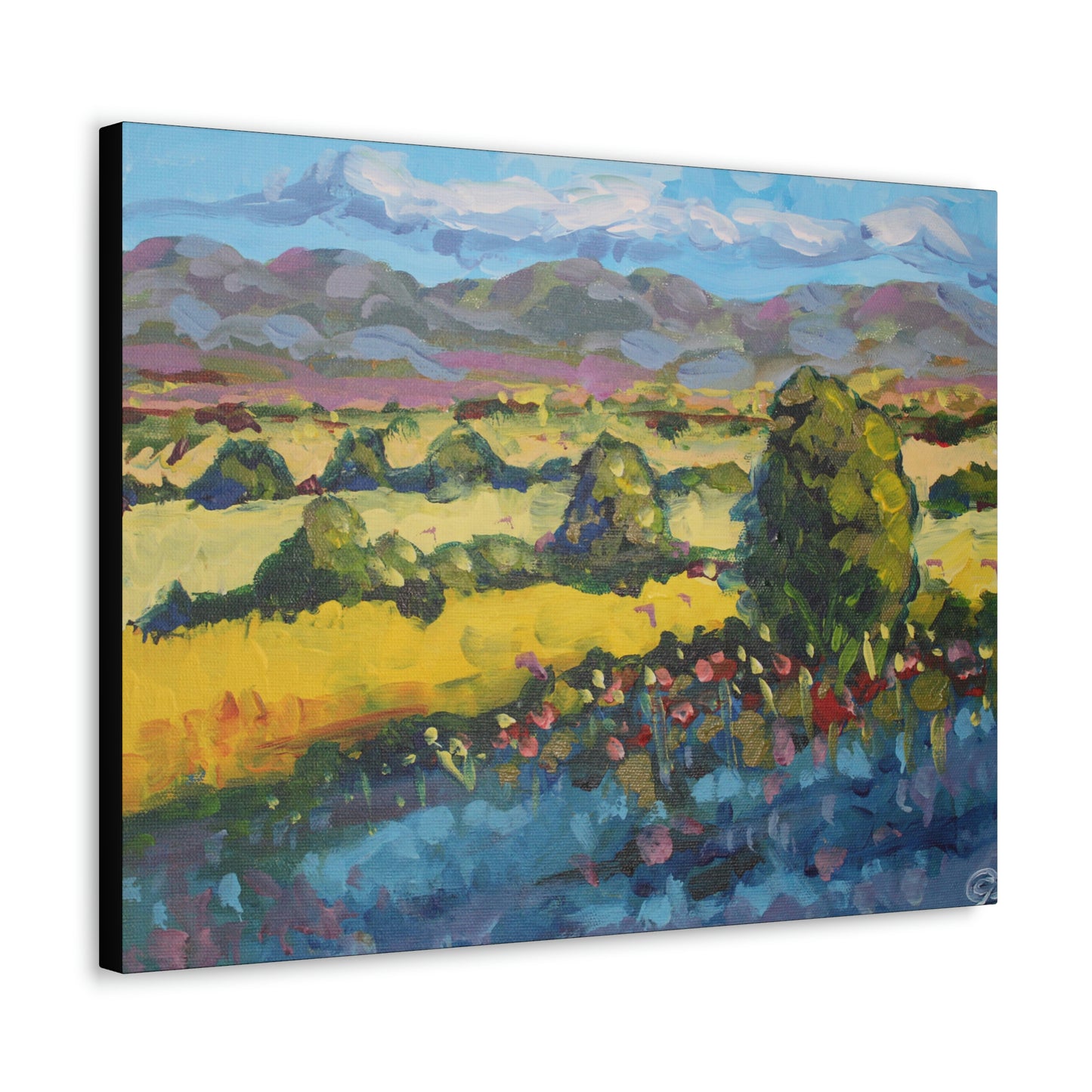 Sunny Plains Canvas Print by Peter Scott Elliott
