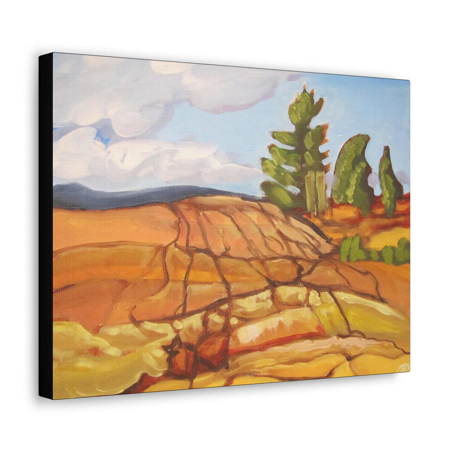 Canadian Shield #8 Canvas Print by Peter Scott Elliott