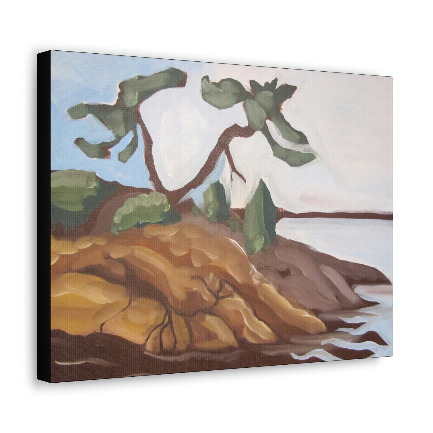 Canadian Shield #5 Canvas Print by Peter Scott Elliott