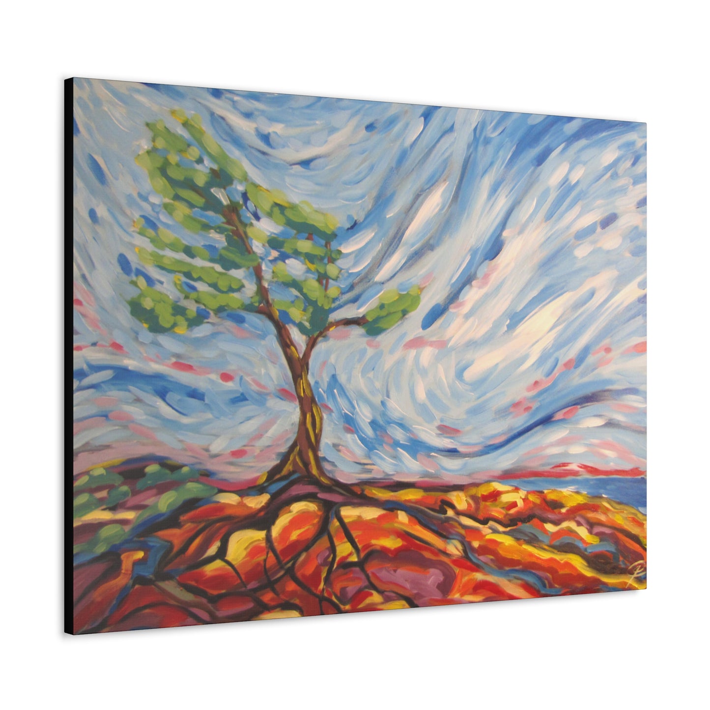 Killbear Tree #8 by Peter Scott Elliott Canvas Print