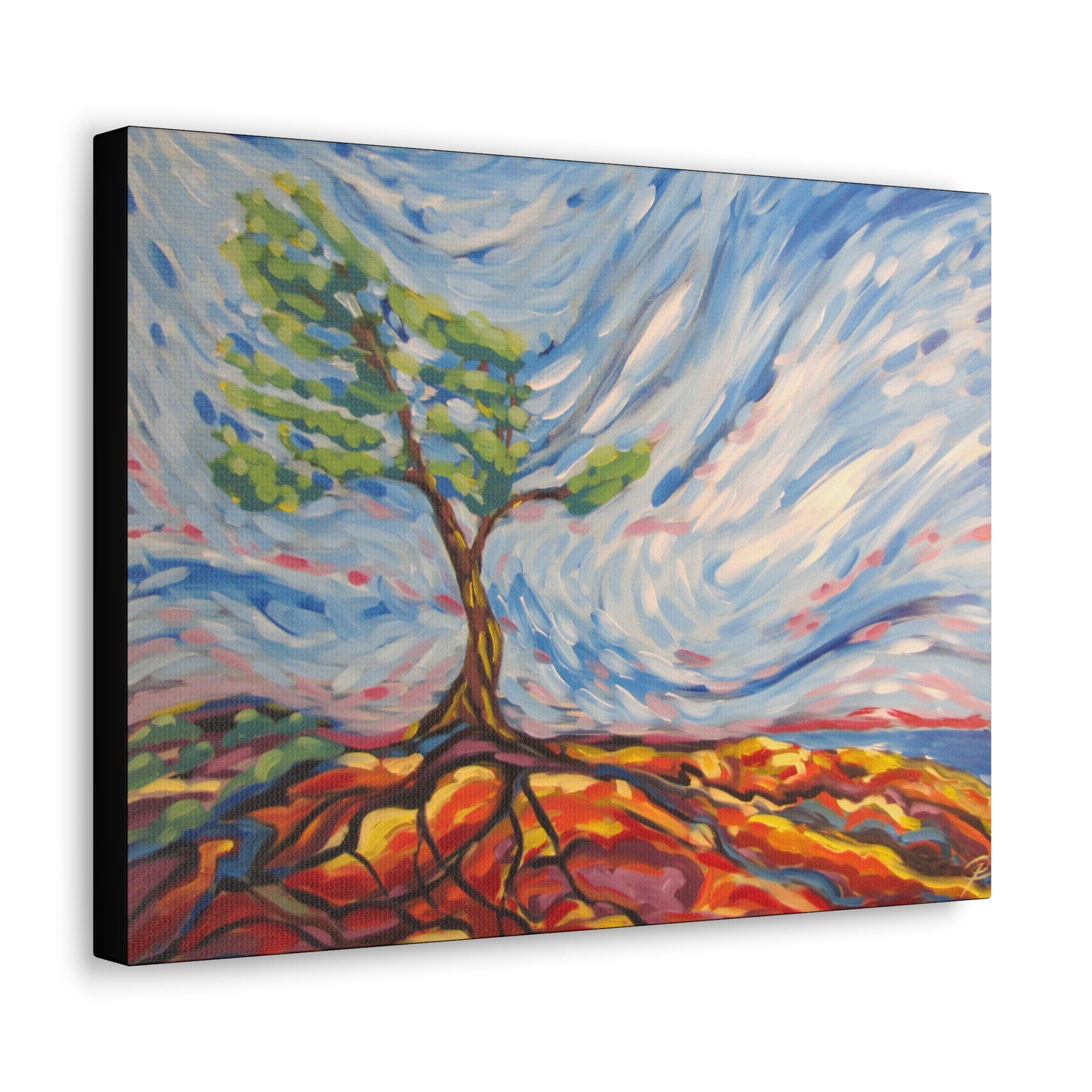 Killbear Tree #8 by Peter Scott Elliott Canvas Print